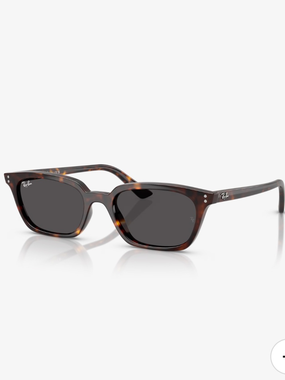 Ray-Ban Zaya sunglasses
